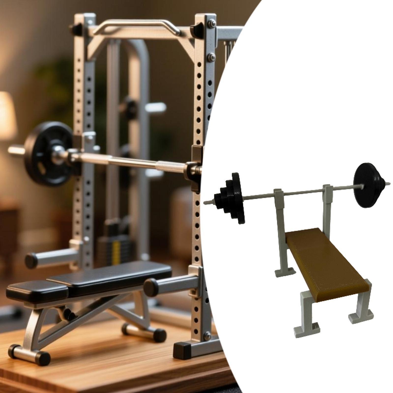 Rak Barbel Skala 1:12 Model Ba - Sports Equipment Photos ulasan dan harga